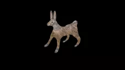 Hare