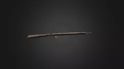 Kar 98k with Bullets