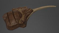 Lamb Chop Replica 3d Models Page 1 Stlfinder