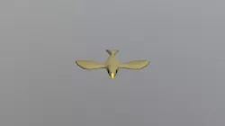 Low Poly Bird