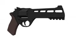 Low-Poly Chiappa Rhino