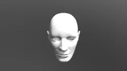 Male Head