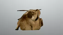 Microscope photoscan - Moth test 41x zoom