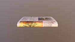 Newspaper