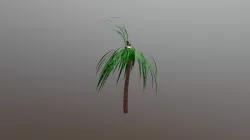 Palm Tree
