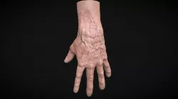 Realistic old man hand (Rigged)