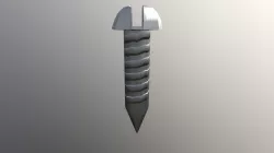 Screw