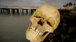 Skull 02 (version 2)