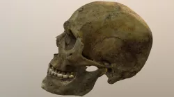 Skull 06 (Part 3: Head)