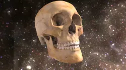 Skull 07 (version 1)