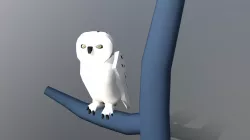 Snow Owl