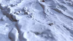 Snow Tracks