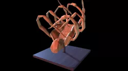 Spider Alien