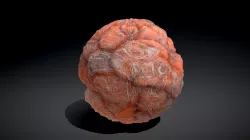 Stylized organic 3 PLEXUS GAME 3D ASSET STORE