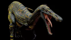 Suchomimus [ 4K textures Rigged ]