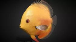 Symphysodon Rigged