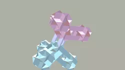 Tetraxis Groups Mirrored