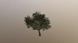 Tree 2