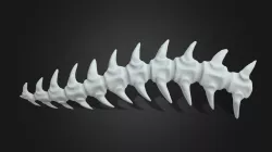 Vertebrae