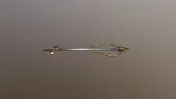 Weapons: Sword + Crossbow