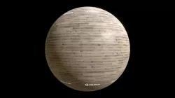 Wood Flooring Stained Ash 002