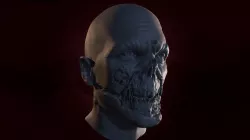 Zombie Head 2
