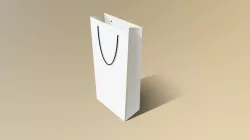 302 Bag