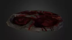 6th-corpusplate