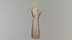 arms