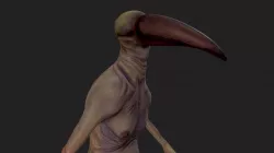 birdma'm