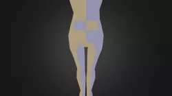Body