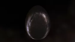 Camouflage  Easter Egg 