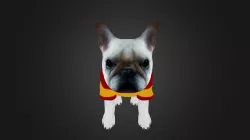 Dog28