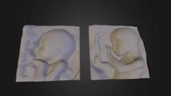Ecography - 3D Print - Babies