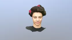 Face scan example