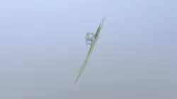 first 3D model