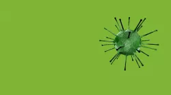 Flu Virus - 3December