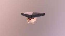 Freeform scan example