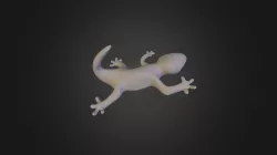 Gecko Hook