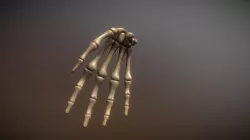 Hands