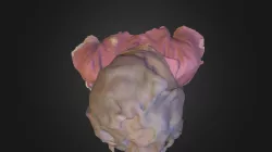 Lord Crumble