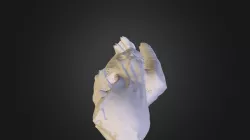Model 09-9ap