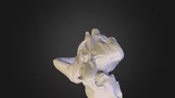 Model 19-19ap