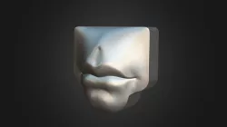Mouth Model 1