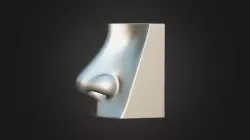 Nose Model 3