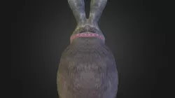Rabbit1