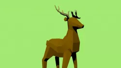 Reindeer - 3December