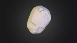 Sculpt