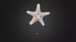 Sculpt
