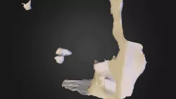 Sculpt